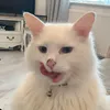justheretowatchvids98