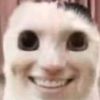 sam_pocket_n