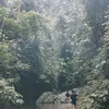 getihenom