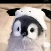 matthinhgiac