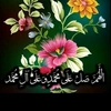 sarwat717