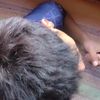 luufer.ssj