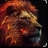 fdotz_2