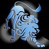 lion_lion6654333