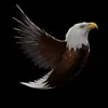 robert_34678