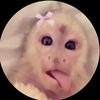 danna.sesma