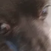 _______c00kie_______