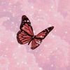 nicole_floles