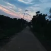 vangsay05