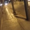 liaantonella269