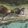 catgozoom
