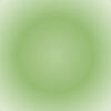 _gina.ann