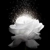 myquynh262