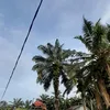 listiaadiningrum