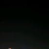 honeypea20_