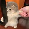 ririakaaa