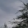 nalina_1707