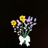 lilium.lt