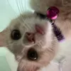 binifyowna