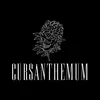 cursanthemum