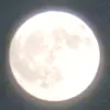 shogai_kodo