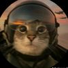 airforce_cat