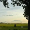 Bỉm nội địa nhà MỠ