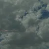 .fl2v