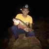 amirulhaikal334