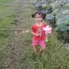 nkokukjpro
