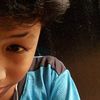 hamm_tolpek