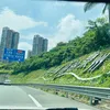 zhenzhen95_