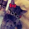 dollquette_01