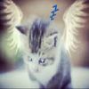 alisk_1504