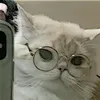 thanhquy23407
