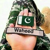 waheedtanoli21