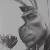 donkepoopoo
