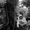donttrust161