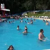 wilmerpaxicocarico