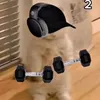 imlarissavaz