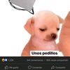 el_salmon_buo