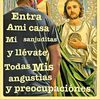 chichiuas5