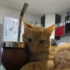 matiguts