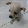 benji_oficial25