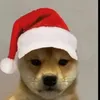 eusouhenrique1
