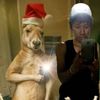 josephgaspar69