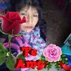 evgc3
