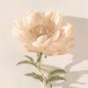alexalois05