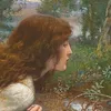 i_amdarcy