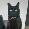 vanesabrizuela73